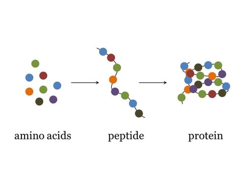 Do Peptides Have Any Side Effects