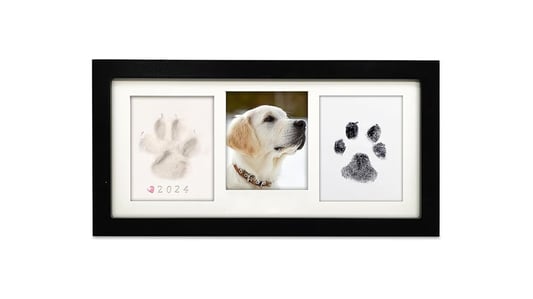 Personalization Pet Memorial Frame: A Heartfelt Tribute to Your Beloved Companion