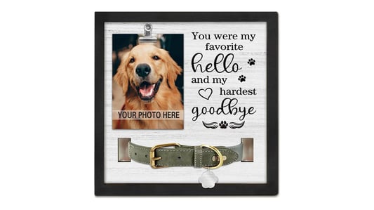 The Latest Metal Pet Photo Frame Trends for Your Furry Friends