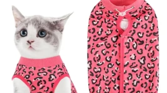Ultimate Pet Clothes Size Guide for Your Furry Friend