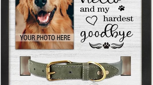Preserve your pet's most cherished accessory with a dedicated memorial display