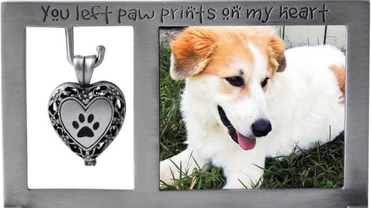 The Latest Metal Pet Photo Frame Trends for Your Furry Friends