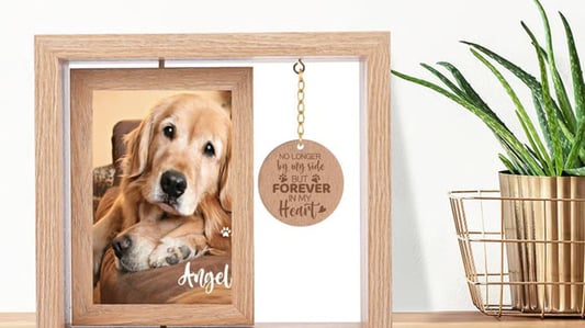 Honoring a Life Well-Loved: Creating the Perfect Picture Frame Memorial for Your Dog
