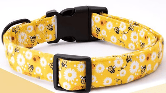 Capitalizing on Niche Demand: The Commercial Viability of Themed Pet Accessories