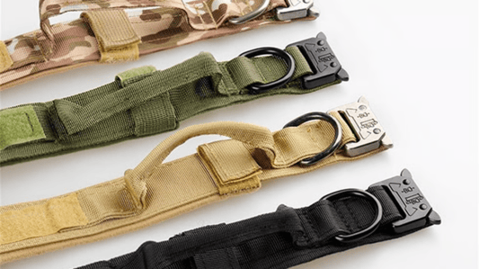 The Enduring Value of Premium Leather in Professional-Grade Dog Collars