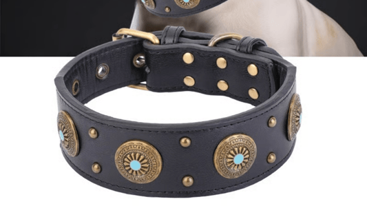 Engineering Canine Performance: A Professional's Guide to Heavy-Duty Tactical Collars