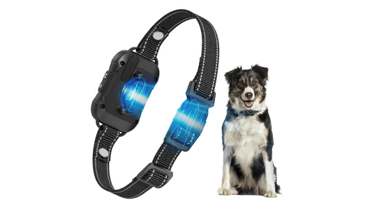 Everything You Need to Know About the Adjustable Bark Control Collar