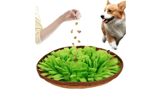 Unlocking Canine Potential: The Multi-Benefit Advantages of Puzzle Snuffle Mats