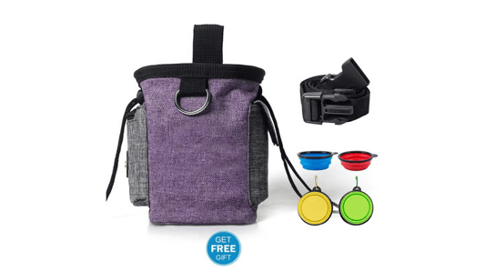 Your Guide to Streamlined Outdoor Training: The Integrated Dog Bag with Waste Management