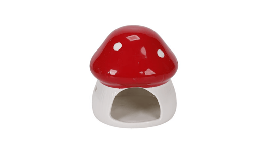 More Than a Hideaway — The Ceramic Mushroom House Unveiled