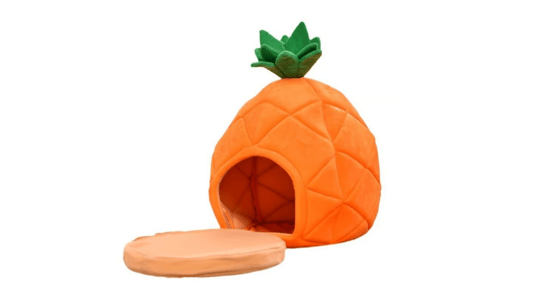 Is Your Small Pet Ready for a Velvet Throne?