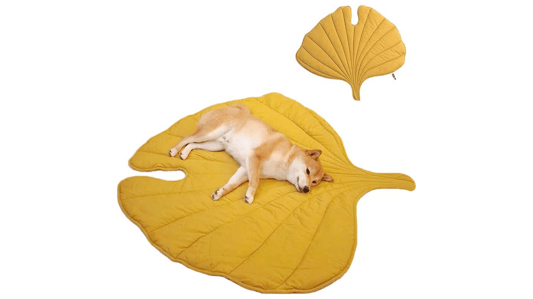 A Full Guide to Children’s Leaf Design Pet Play Mats: Safe, Fun Zones for Kids and Pets