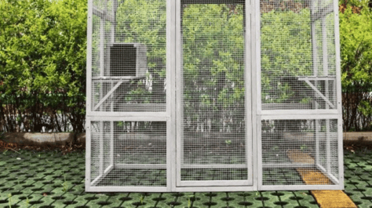 Unique Features of Large Wooden Cat Villa with Climbing Protection