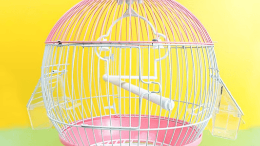 Art Iron Design Metal Roof Bird Cage: Elegant & Durable