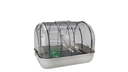 A Complete Guide to Panoramic Transparent Bird Travel Carriers