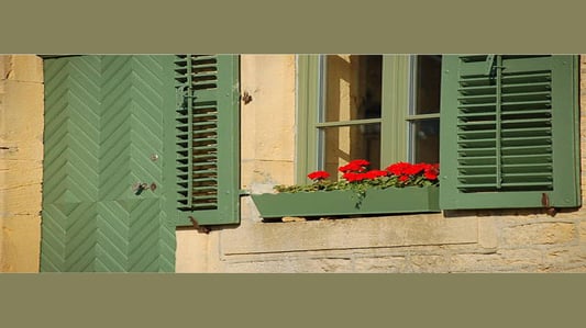 What are UPVC Shutters? A Comprehensive Guide