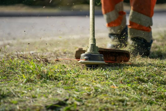 How to Conduct a Comprehensive Weed Whacker Inspection