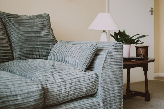 The Importance of Professional Couch Inspection for Your Home