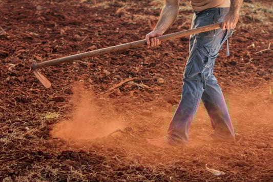 Essential Guide to Garden Hoe Inspection