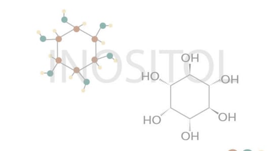 The Ultimate Guide to Gut Health Support: Strategies for a Balanced Digestive System