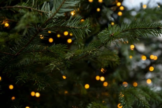 Artificial Christmas Trees Materials: What They're Made Of