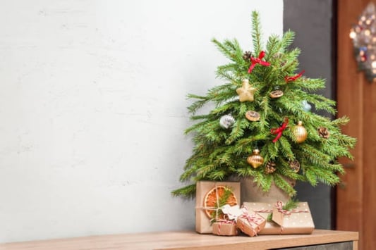 Choosing the Best 2ft Green Christmas Tree for your Home