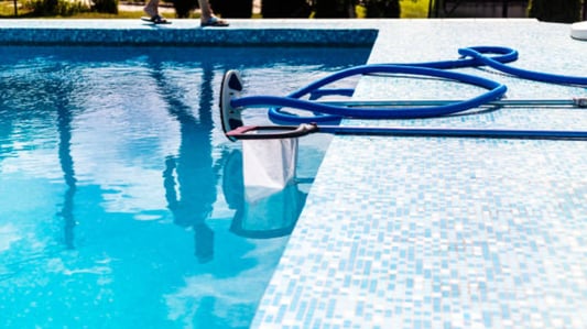 Get your pool sparkling clean with a pool style vacuum head