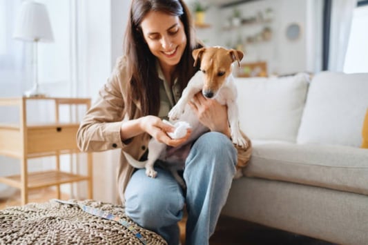 10 Reasons Why Well and Good Dog Wipes Should Be Your Go-To