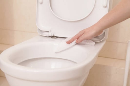 Everything You Need to Know About Disposable Toilet Wipes