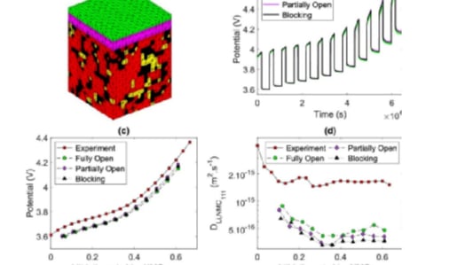 Effect of Carbon Colloidal Phase on 3D Electrode Microscopic Modeling