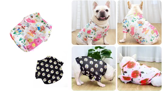 Ultimate Pet Clothes Size Guide for Your Furry Friend