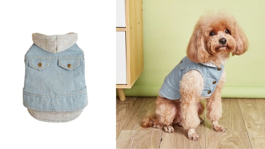 The Ultimate Guide to Winter Pet Clothes