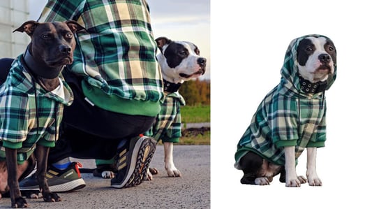 The Ultimate Guide to Matching Pet and Owner Clothes