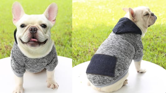 How to Properly Wash Pet Clothes: A Complete Guide