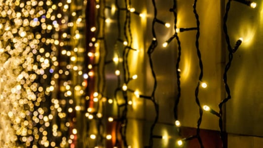 The Ultimate Guide to LED Net Lights: Everything You Need to Know