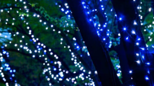 The Magical Aura of Waterfall Lights