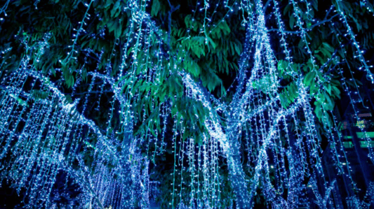 The Magic of LED Waterfall Lights