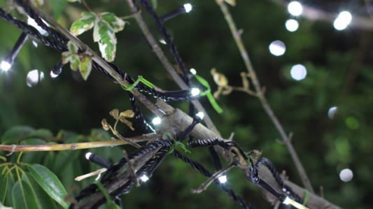 The Benefits of Using Solar Christmas Lights
