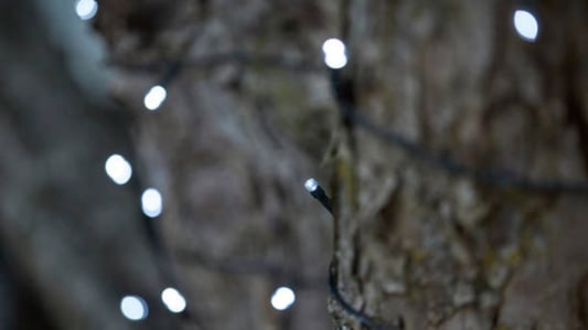 The Ultimate Guide to Solar String Lights