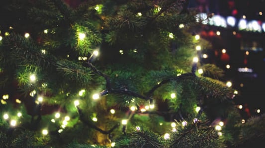 The Magic of Tree Top Lights: Enhancing Your Outdoor Space