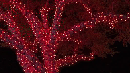 The Ultimate Guide to LED String Lights: Versatile, Efficient, and Stylish Lighting Solutions