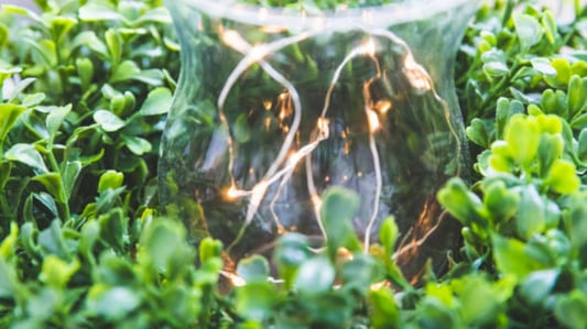 The Ultimate Guide to Battery String Lights: Versatile, Convenient, and Decorative