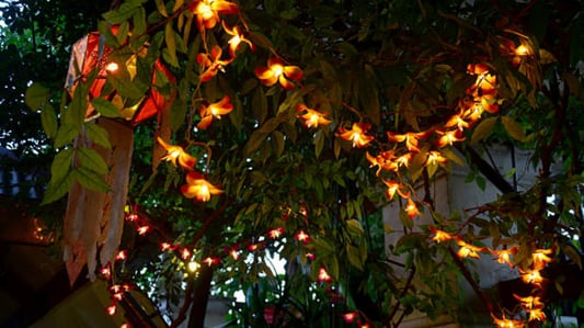 Innovative Uses and Benefits of Indoor Plastic Sheet Fairy Lights