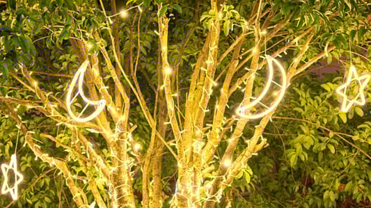 Waterproof Plastic Pendant Lights: Durable and Stylish Lighting Solutions