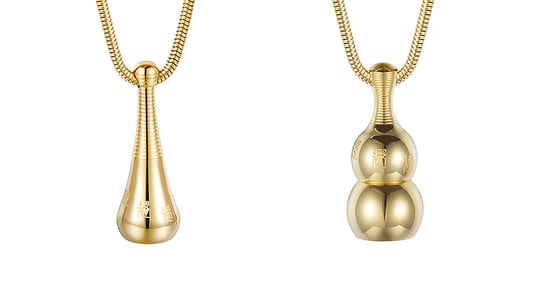 The Ultimate Guide to Choosing a Necklace for Ashes Dog