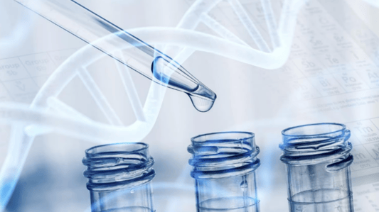 The Importance of CAS: 2212020-52-3 in the Chemical Industry