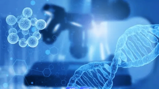The Importance of CAS 2649467-58-1 in Chemical Research