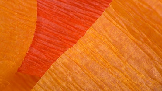 Comprehensive Guide to Stretch Nylon Crush Fabric: Features, Uses, and Care