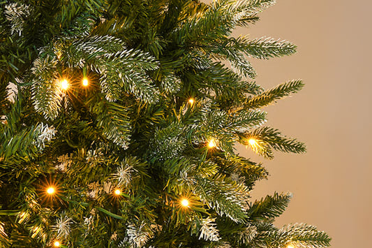 The Magical Allure of White Lighted Trees