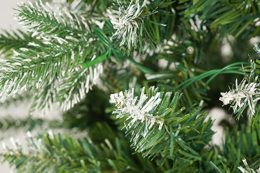 The Beauty of Christmas Trees with White and Colored Lights